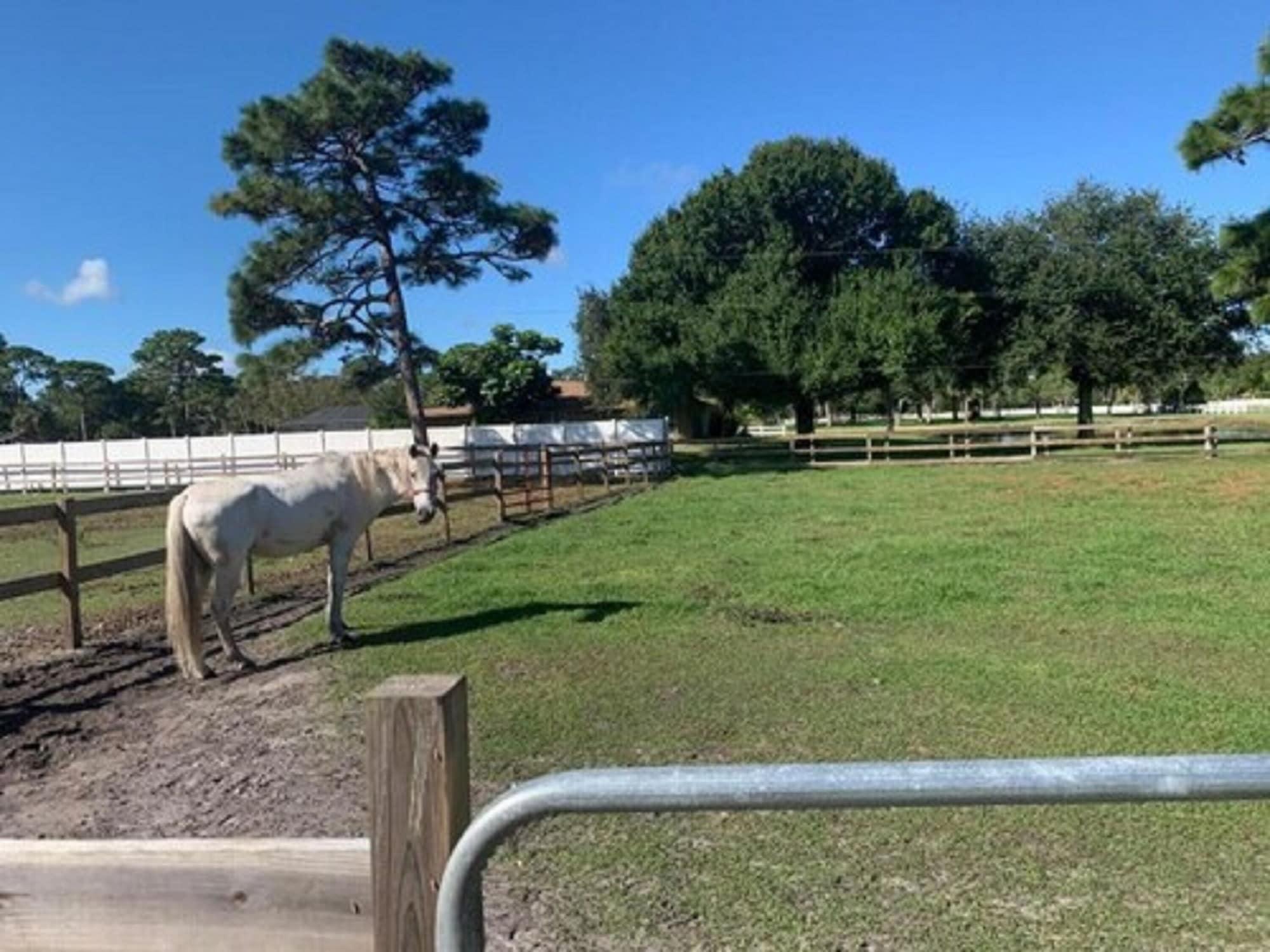 Oyo Family Ranch At Melbourne Fl Ξενοδοχείο Εξωτερικό φωτογραφία